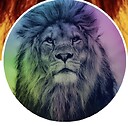 Lioness_