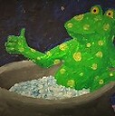 boilingfrog2023