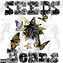 seedsandbeanspodcast