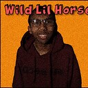 WildLilHorse