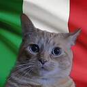 eyetaliancat
