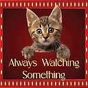 AlwaysWatchingSomething