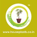 HouseplantsIndia