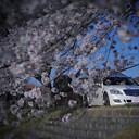 Harmonyw