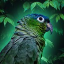 greenishparrot