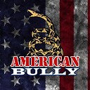 AmericanBullyTV