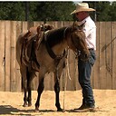 B1horsemanship