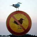 TheConscientiousObjector