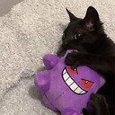 thebestfragwerewolf729