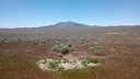 DesertRestNV