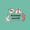 animalworld33