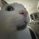 TheInternetMeme