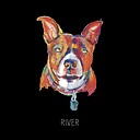 Spaz003