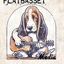 FlatBassetThoughts