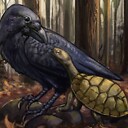 7Ravens_Meet_A_Turtle