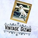 VintageGizmo