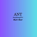 Anythingtv