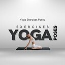 yogaexerisespose2024