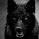 wolfpackPrimordialwolf