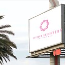 DustandDiscovery