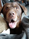 maggie947