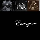 Embrybros