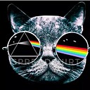 PinkFloydCat1