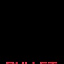 bulletpulley