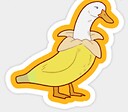 Allo_vr