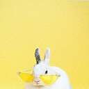 FriendToAnimals1