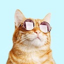 MemeDoge03