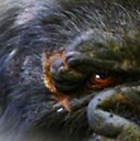 GrumpySilverback