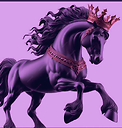 Rollingpony