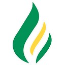 reignitedemocracyaustralia