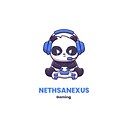 NethsaNexus