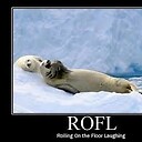 Rollonthefloor