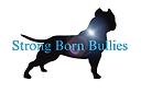 strong_born_bullies