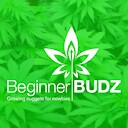 Beginnerbudz