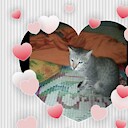 CuteBuddiess