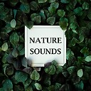 naturesound995