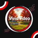 vividvideo