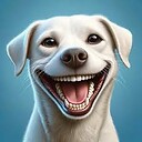 FunnyPetsVideos99