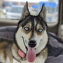 AdventuresofMiaWallace