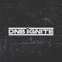 DNBIGNITE