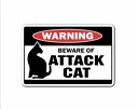 AttackCat1