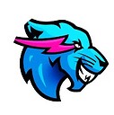 MrbeastsGameing