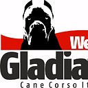 WestCoastGladiators