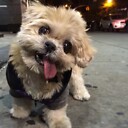 mrstripty2