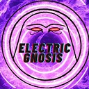 ElectricGnosis