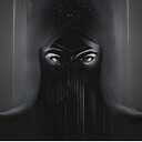 TheAIVeil